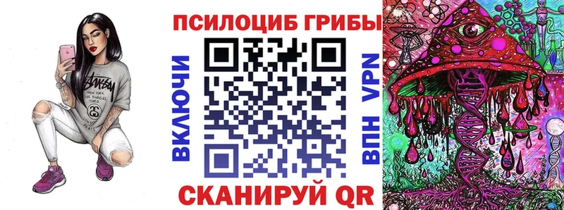 где найти наркотики  Сокол  Галлюциногенные грибы Magic Shrooms 