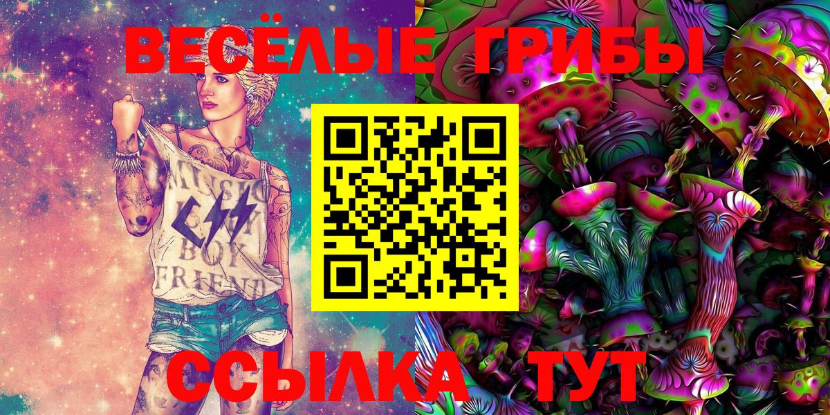 Сокол  Галлюциногенные грибы ЛСД  купить  цена  Вход с VPN  Псилоцибиновые грибы Magic Shrooms 