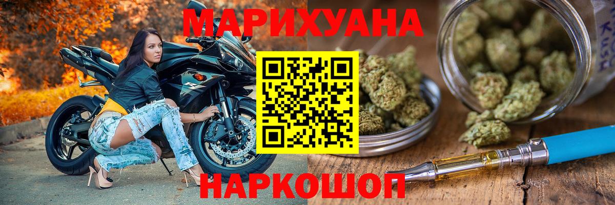 Каннабис SATIVA & INDICA Сокол